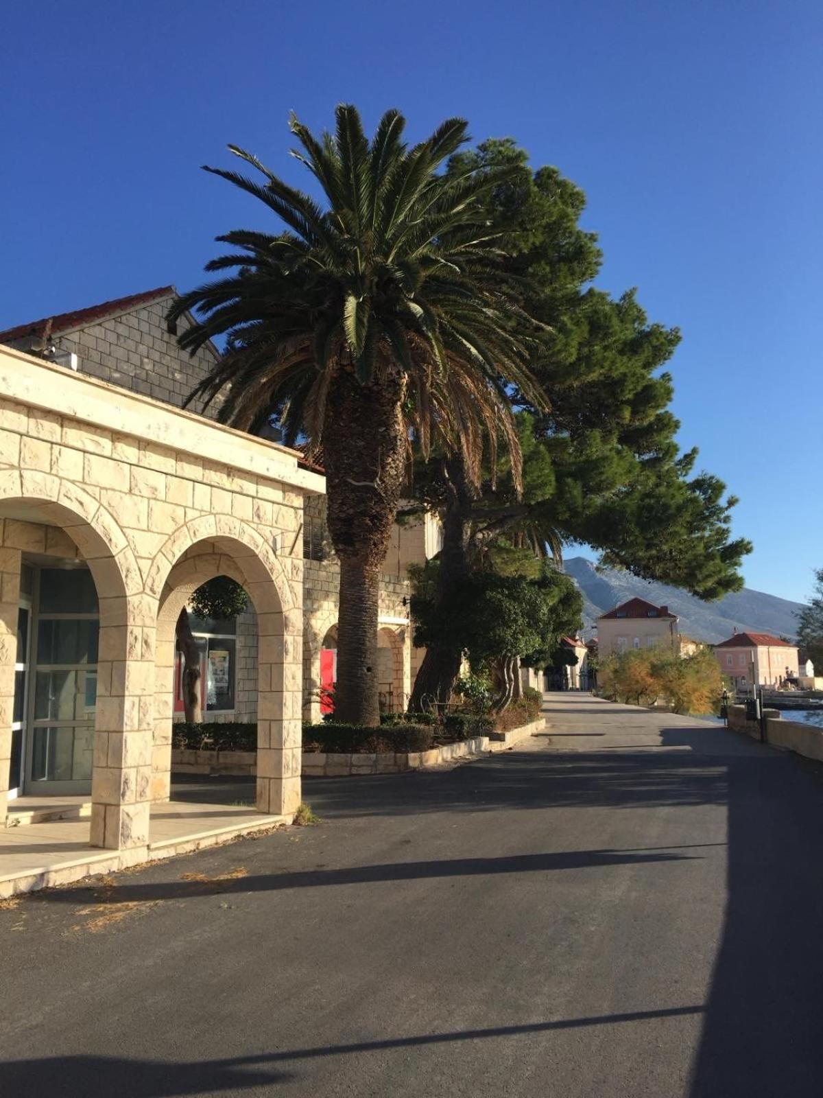 Villa Vinka أوروبيتش المظهر الخارجي الصورة